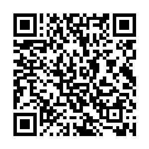 她想找个丫鬟支撑一下她疲惫又受了极大惊吓的身体二维码生成