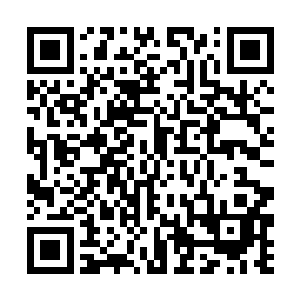 她想要看看是不是还有着大量的域外天魔隐藏在暗处二维码生成