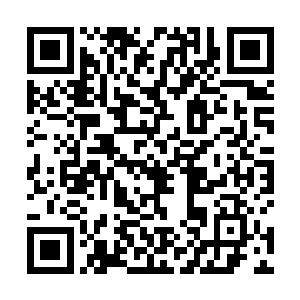 她才突然间从那种狂热的去追求独立的思想中暮然回头二维码生成