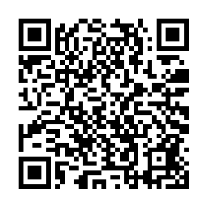 她昨晚上为了让赵崇明和陈霜霜单独相处都迷了路二维码生成