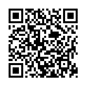 她望向那个低头俯视身前白色大碗的中年书生二维码生成