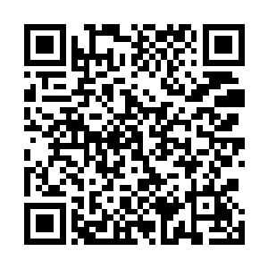 她本来是冲着自己的同学周培在这里当经理的原因才来的二维码生成