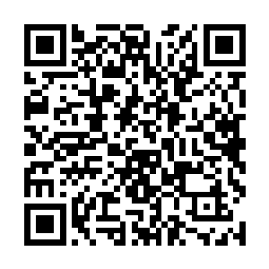 她的家人或直接或间接死于胡人之手的要占一半以上二维码生成