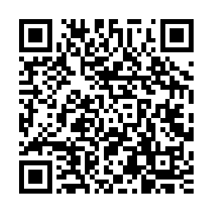 她的心中兴起的一点点逃避的想法在这力量的影响下完全消散二维码生成