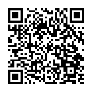 她的笑声则在国教学院的大榕树和湖面回荡了很多年二维码生成