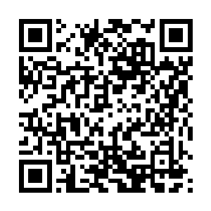 她的脑海中却清清楚楚地记得昨晚江言和自己说了什么二维码生成