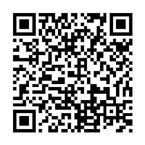 她的身后出现一个大约大象大小的立方体灵魂印二维码生成