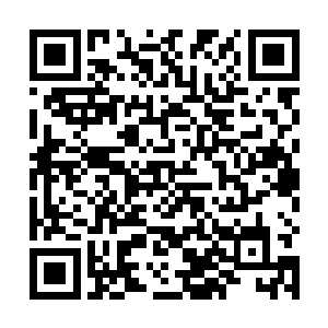 她经常幻想着自己若是去醉仙居唱曲会是怎么一番景象二维码生成