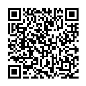 她自然不知道这边是不想把动静闹大了让六道中的其他五家知道二维码生成
