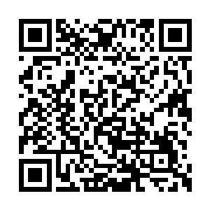 她认为夏天肯定是想要将她弄走才故意这么做的二维码生成