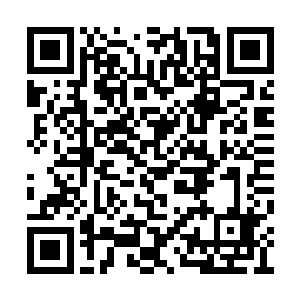 她记得自己每年这段时间常在张奶奶家蹭午饭的二维码生成