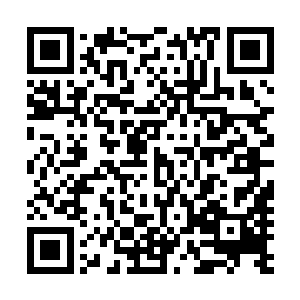 她还没下车就已经注意到学校篮球场的一个篮球架的篮板上二维码生成