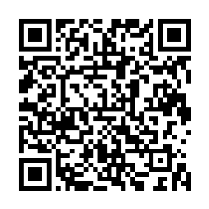 她还记得松康当初看到她做手术的时候直接就跪下来拜师了二维码生成