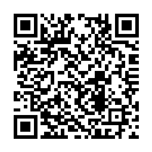 她这辈子最大的遗憾就是没有为西之鹤生一个儿子二维码生成