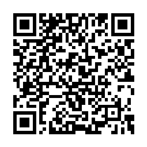 她这还没等问的对方就已经把底子都给揭了出来二维码生成