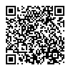 她那瞪大的双眼与颤抖的手指让男修此时想起来还觉得颇为迷惑不解二维码生成