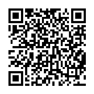 她都能感觉到自己的手指在一点点地从陆庭舟的手中滑开二维码生成