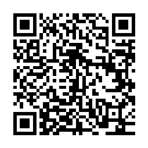 她驾驶飞车把两人带到她曾经专门给自己做身体检测的秘密基地二维码生成