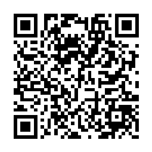 好不容易太雄费尽全力燃起来了一点豆大的火焰二维码生成