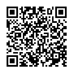 好不容易将准备的膳食全部都喂入了君无极的口中二维码生成