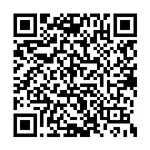 好不容易逮到机会打压取笑一番吴莉莉这个新人二维码生成