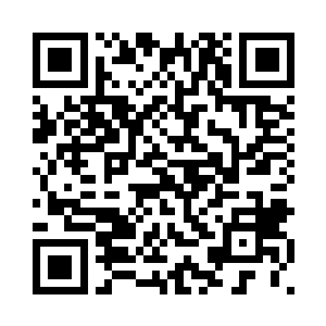 好像凭空的就出现在了此岛上一般二维码生成