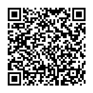 好像又回到了当年他被南宫阙跟天都太子这些人踩在脚下羞辱的时候二维码生成