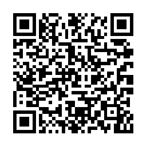 好像她现在才感到莫小鱼身上的味道的确不好闻二维码生成