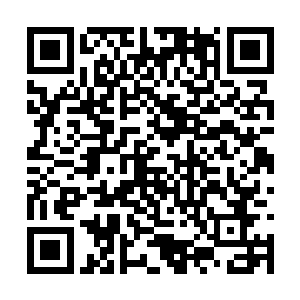 好几次那梅红羽能够穿梭空间的手差点就抓住了我二维码生成