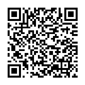 好吧……如果不计算我为这家宠物店操的那些心的话二维码生成