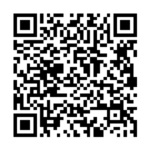 好在安齐远感觉到自家道侣在众目睽睽下的不自在二维码生成