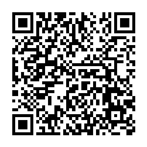 好在田蜜现在全部的注意力都放在设计稿上并没有抬头看他的神情二维码生成