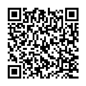 好多蓝色的矿石……这些就是乌英所说的海魂石吧二维码生成