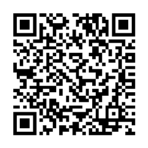 好好的欣赏了一把族长大人流畅充满力量的肌肉线条二维码生成