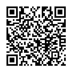 如今他手上真正可以动用的资金加上他的一些固定资产二维码生成