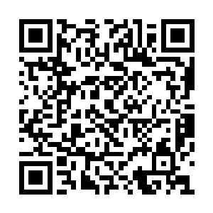 如今他的修为已经稳定在了结丹期第九层境界上二维码生成