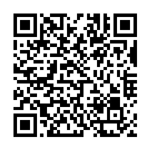 如今伯府的侍卫和奴才大多都是他从幽云二州调回来的二维码生成