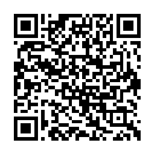 如今在场的人个个也都是当地很有来头的公子哥二维码生成