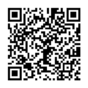 如今在金子的脑海中已然是和小时候老人们谈论的传说有了关联二维码生成