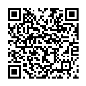 如今太夏的整个廷尉系统简直就像被人架在火上烤一样二维码生成