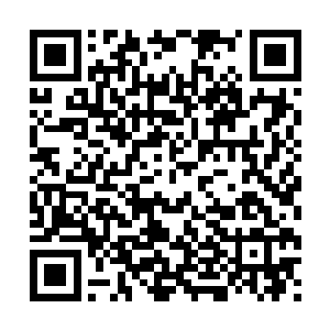 如今燕王已经察觉到她和淮南王府的关系并不是表面上那么好二维码生成