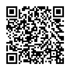 如今萧家的大少爷已经被玄风门门主收为亲传弟子了二维码生成