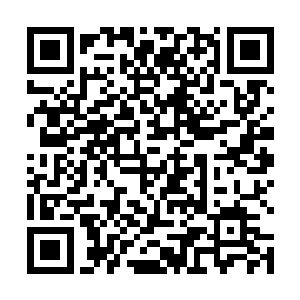 如同之前那样把小女孩身体包裹起来大约半个小时左右二维码生成