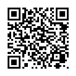 如支离破碎的蒲公英般落入杂草之中二维码生成