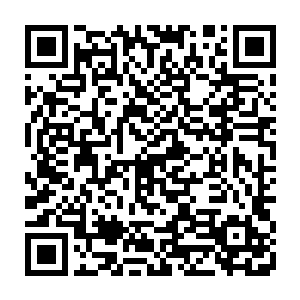如果一线的企业家全都满心期待让二线的经济学家指导他们该怎么办企业二维码生成