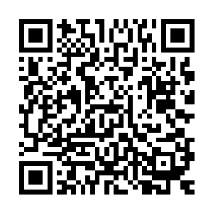 如果不是当初他曾经在藏锋剑鞘里无数次经历过剑意海洋的磨砺二维码生成