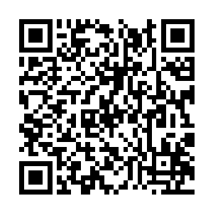 如果不是担心这些垃圾进去之后也拿不到宝物的话二维码生成