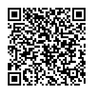 如果不是这避水金晶兽因为血统上的一些缺陷而导致智力始终难以提高的话二维码生成