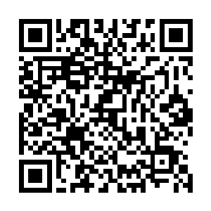 如果两位老怪物知道他们的徒弟在积分赛的时候就被淘汰了二维码生成