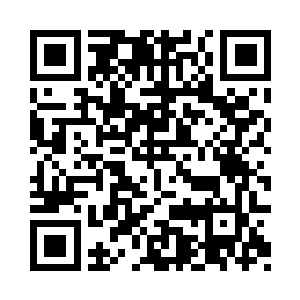 如果人类不是以基因或者神魂来决定二维码生成